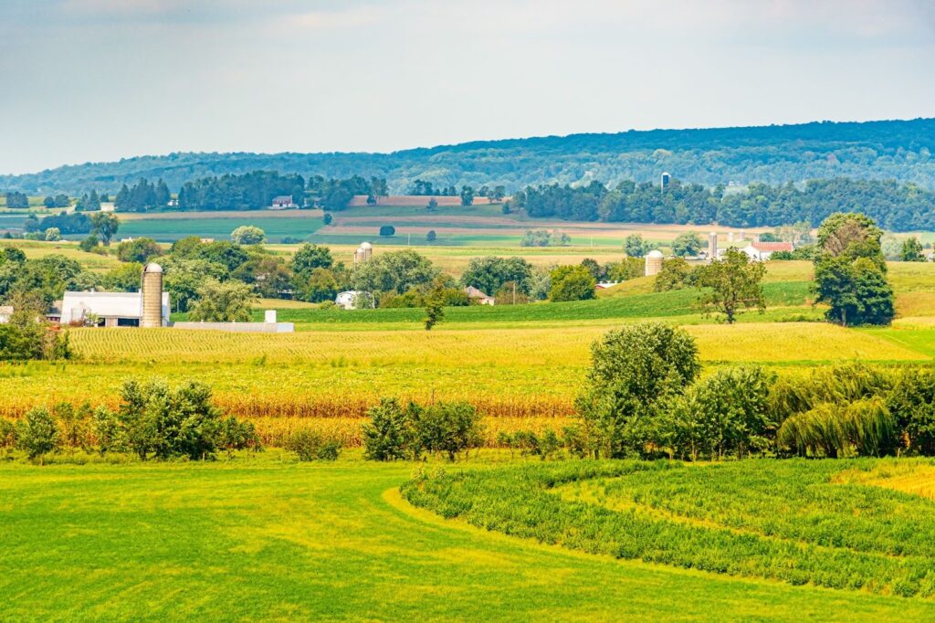 yellow field barn farm